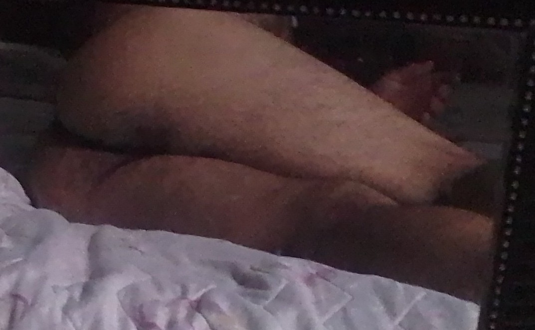 Ursinho sexy
