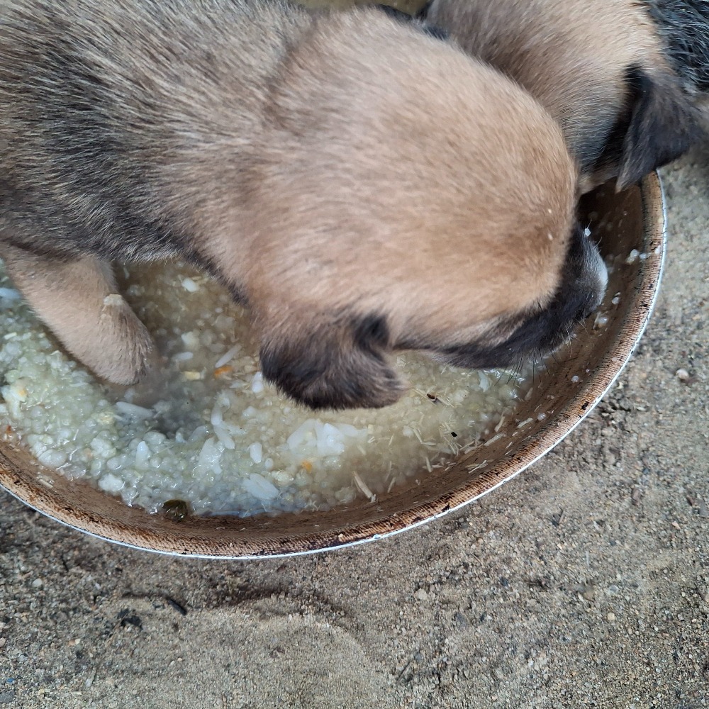 @cleberribeirodasilva