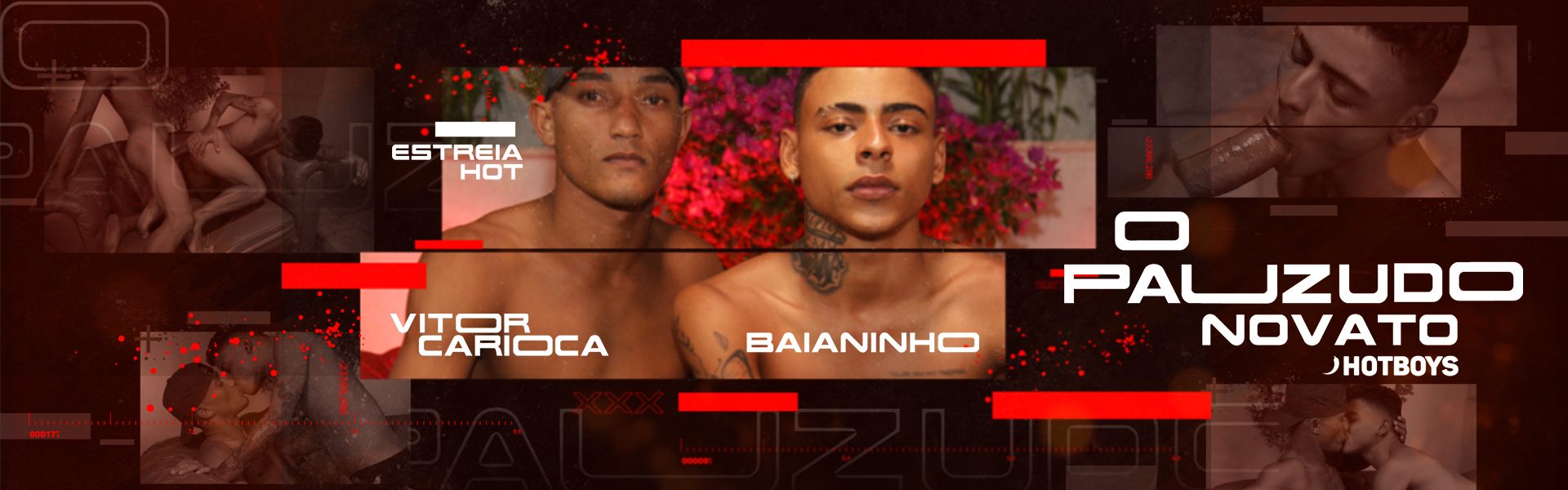 O Novato Dotado