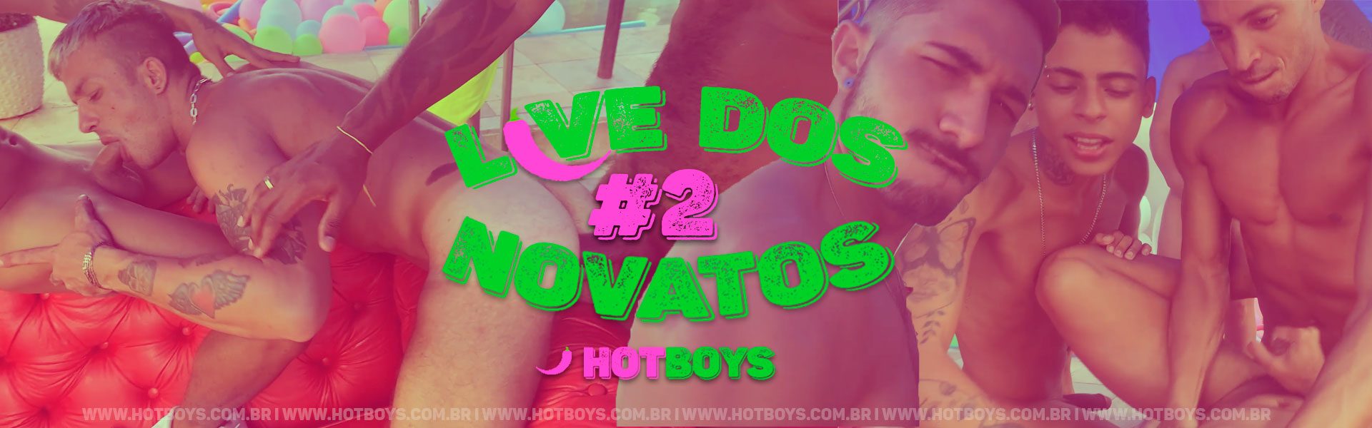 Gravação Live dos Novatos - Parte 2